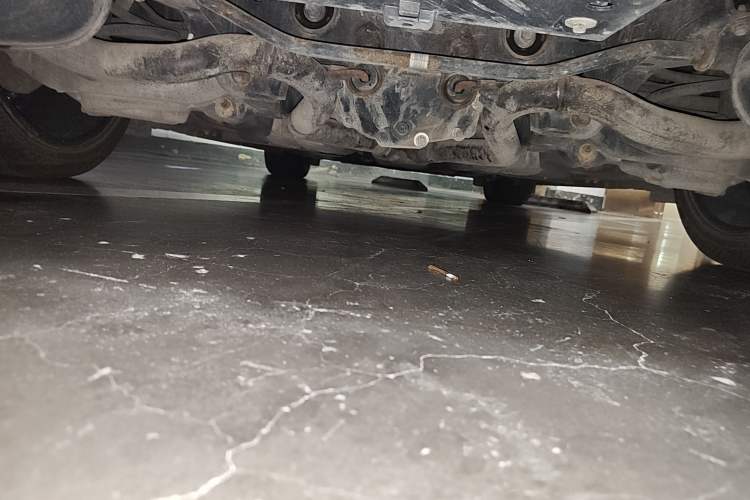 Used Ford Mustang 2019 2.3L EcoBoost Chassis Rear