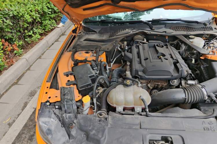 Used Ford Mustang 2019 2.3L EcoBoost Engine Bay Right
