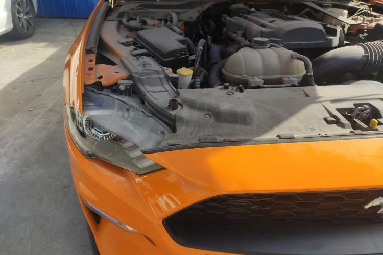 Used Ford Mustang 2019 2.3L EcoBoost Performance Enhanced Edition Engine Bay Right