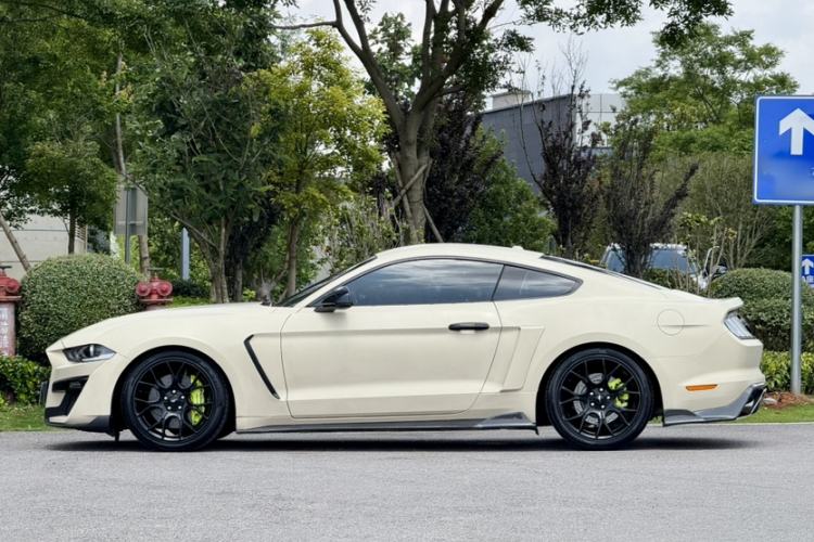 Used Ford Mustang 2019 2.3L EcoBoost Exterior 1