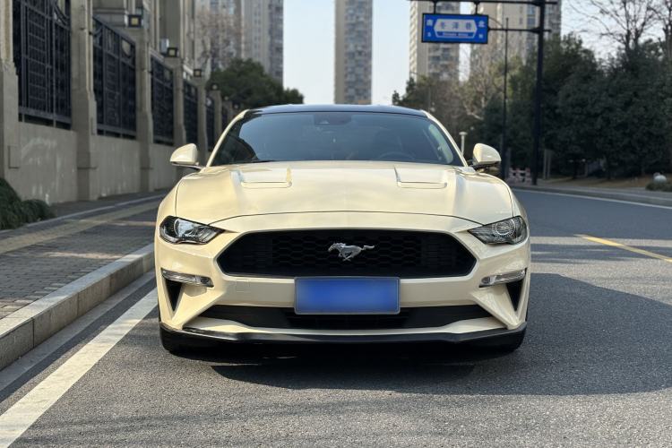 Used Ford Mustang 2019 2.3L EcoBoost Exterior 2