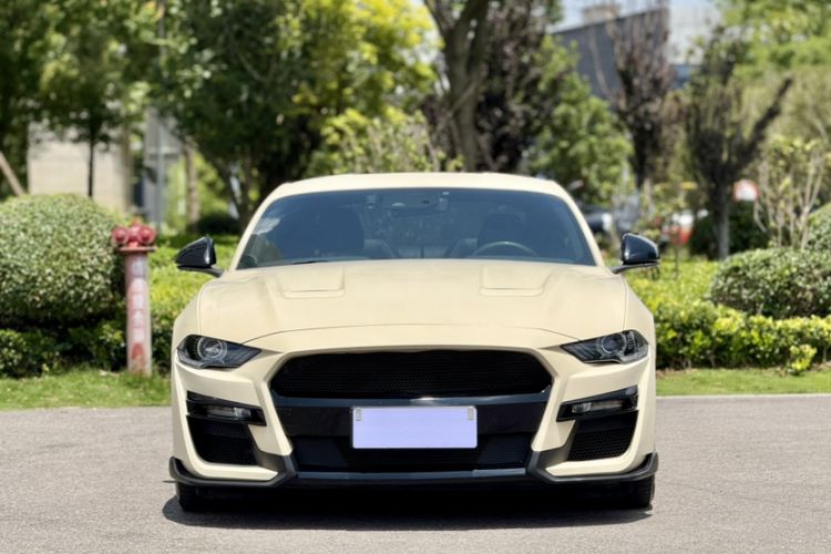 Used Ford Mustang 2019 2.3L EcoBoost Exterior 2
