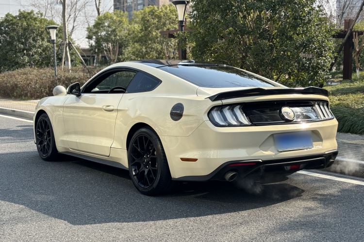 Used Ford Mustang 2019 2.3L EcoBoost Exterior 4