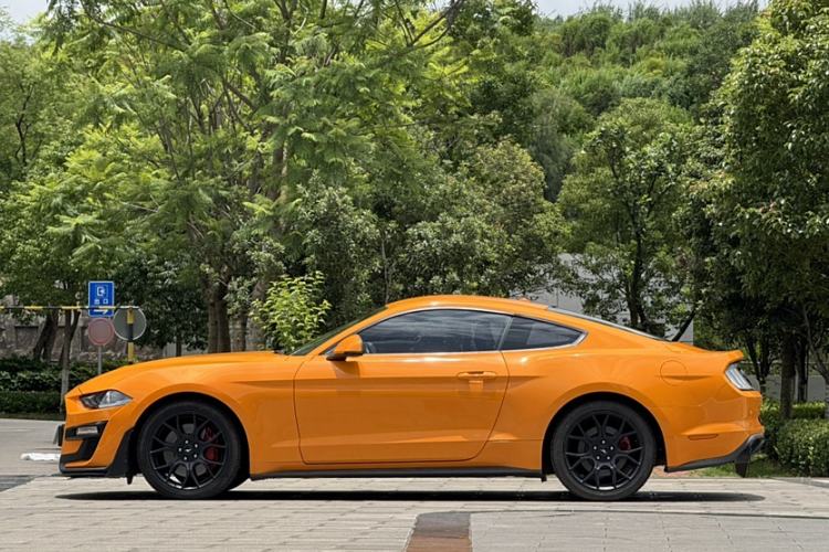 Used Ford Mustang 2019 2.3L EcoBoost Exterior 4