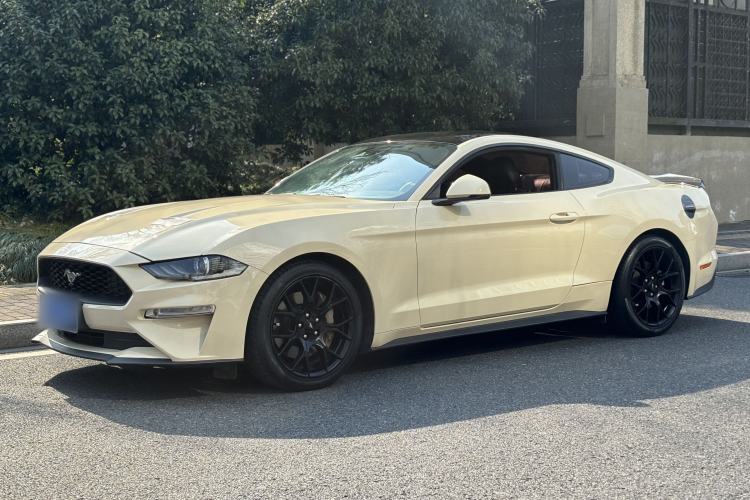 Used Ford Mustang 2019 2.3L EcoBoost Exterior 5
