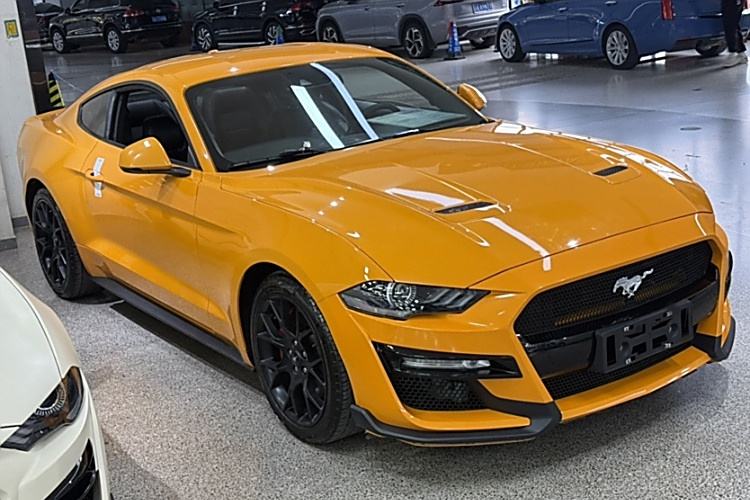 Used Ford Mustang 2019 2.3L EcoBoost Exterior 5
