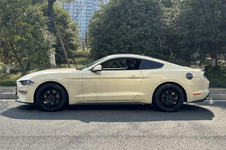 Used Ford Mustang 2019 2.3L EcoBoost Exterior 6