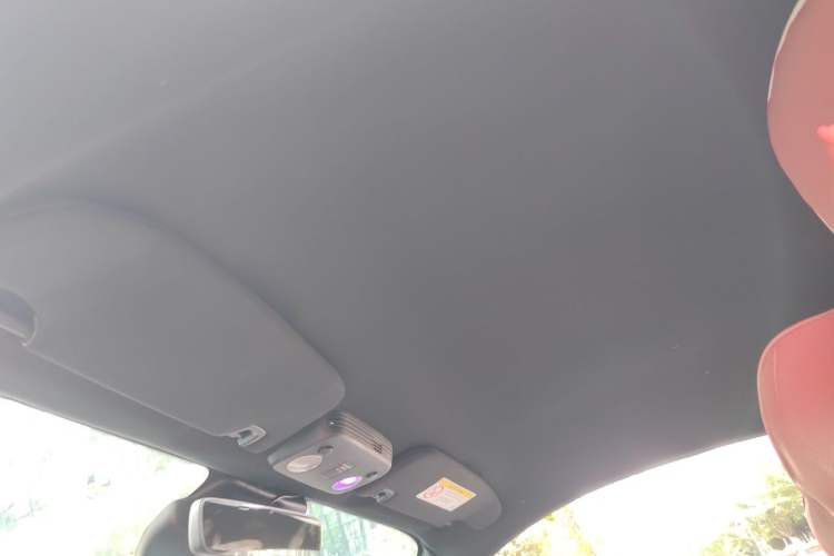 Used Ford Mustang 2019 2.3L EcoBoost Headliner