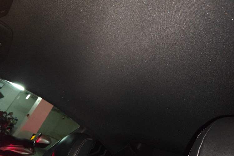 Used Ford Mustang 2019 2.3L EcoBoost Headliner