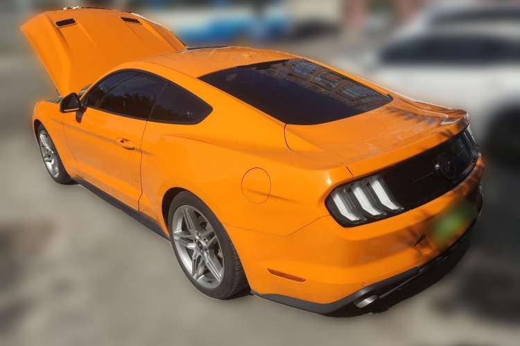 Used Ford Mustang 2019 2.3L EcoBoost Performance Enhanced Edition Rear Left 45 Deg