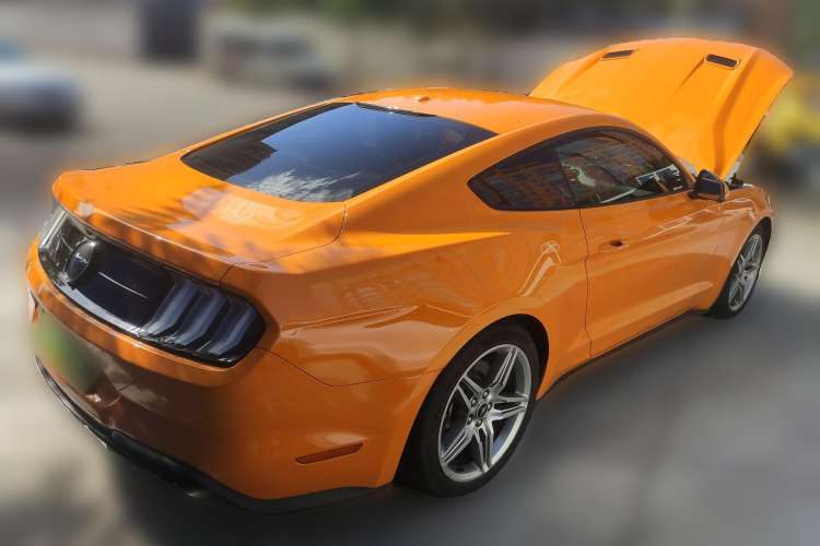 Used Ford Mustang 2019 2.3L EcoBoost Performance Enhanced Edition Rear Right 45 Deg