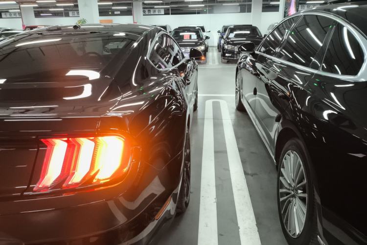 Used Ford Mustang 2020 2.3L EcoBoost Exterior 6