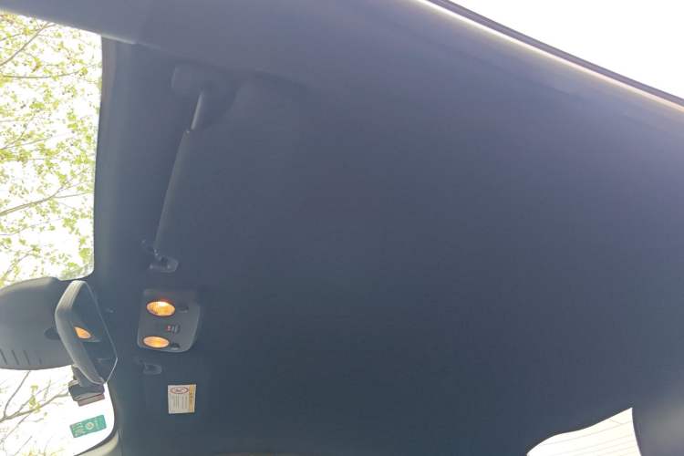 Used Ford Mustang 2020 2.3L EcoBoost Headliner