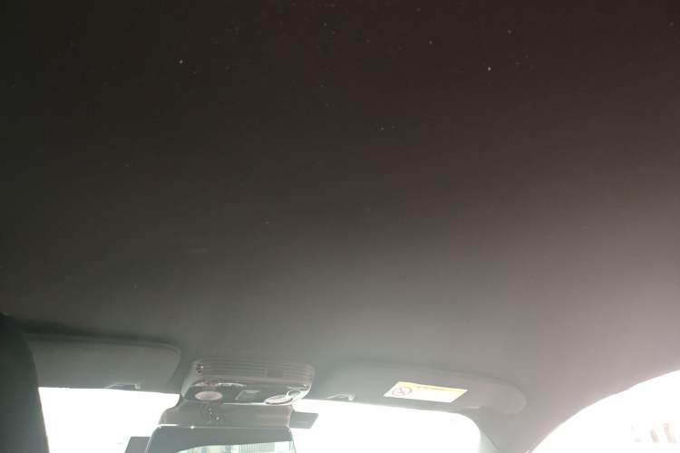 Used Ford Mustang 2020 2.3L EcoBoost Headliner
