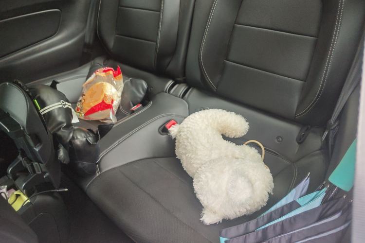 Used Ford Mustang 2020 2.3L EcoBoost Left Rear Seat