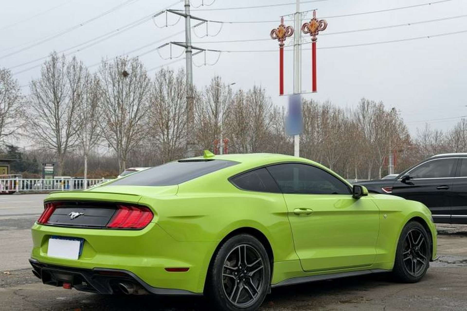 Used Ford Mustang 2020 2.3L EcoBoost Exterior 5