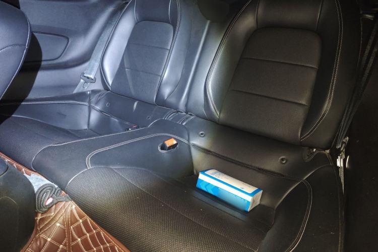 Used Ford Mustang 2020 2.3L EcoBoost Mustang Shelby Performance Enhanced Edition Left Rear Seat
