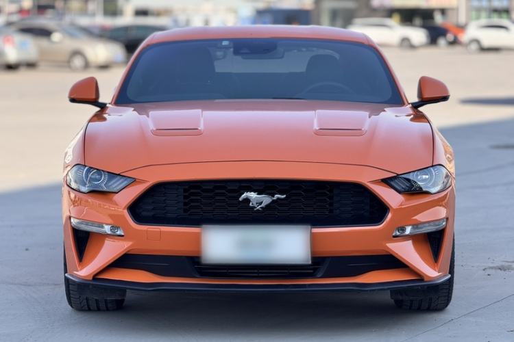 Used Ford Mustang 2020 2.3L EcoBoost Exterior 4