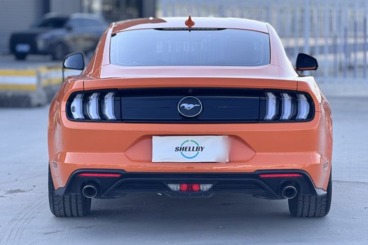 Used Ford Mustang 2020 2.3L EcoBoost Exterior 5