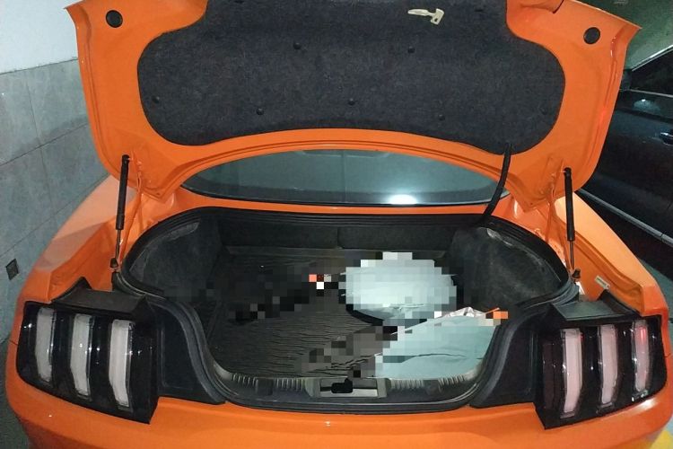 Used Ford Mustang 2020 2.3L EcoBoost Trunk