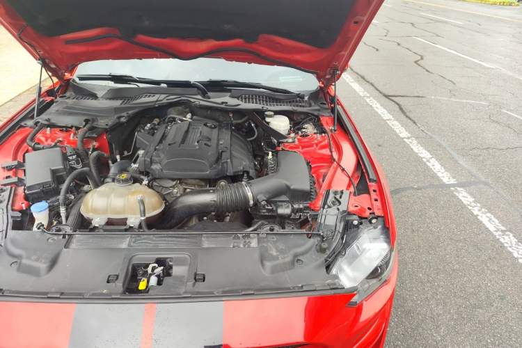 Used Ford Mustang 2020 2.3L EcoBoost Engine Bay Left