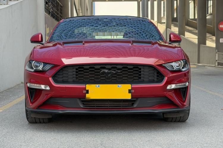 Used Ford Mustang 2020 2.3L EcoBoost Exterior 5