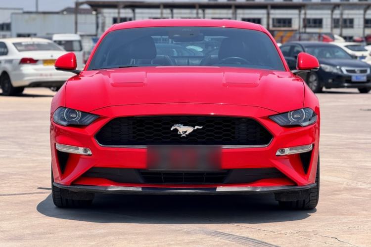 Used Ford Mustang 2020 2.3L EcoBoost Exterior 5