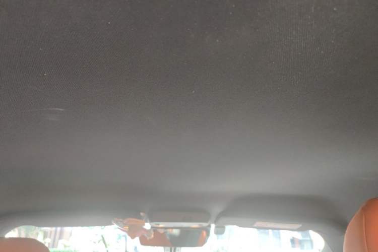Used Ford Mustang 2020 2.3L EcoBoost Headliner