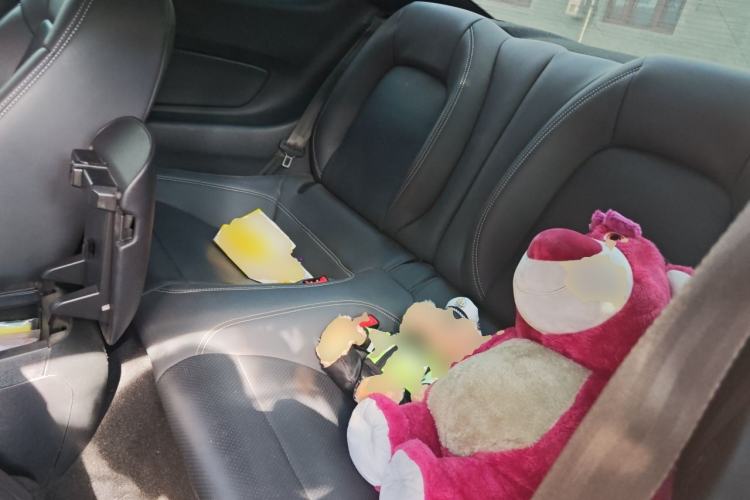 Used Ford Mustang  Left Rear Seat