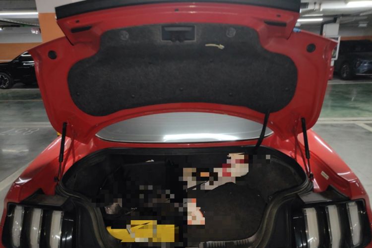 Used Ford Mustang 2020 2.3L EcoBoost Trunk