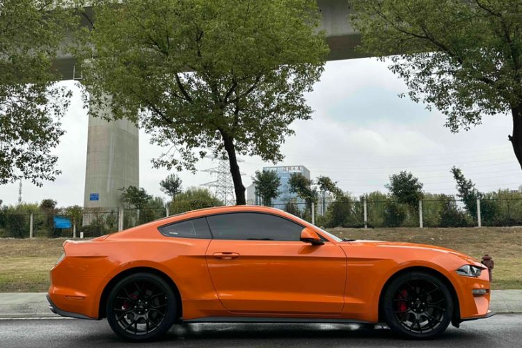 Used Ford Mustang 2020 2.3L EcoBoost Exterior 4