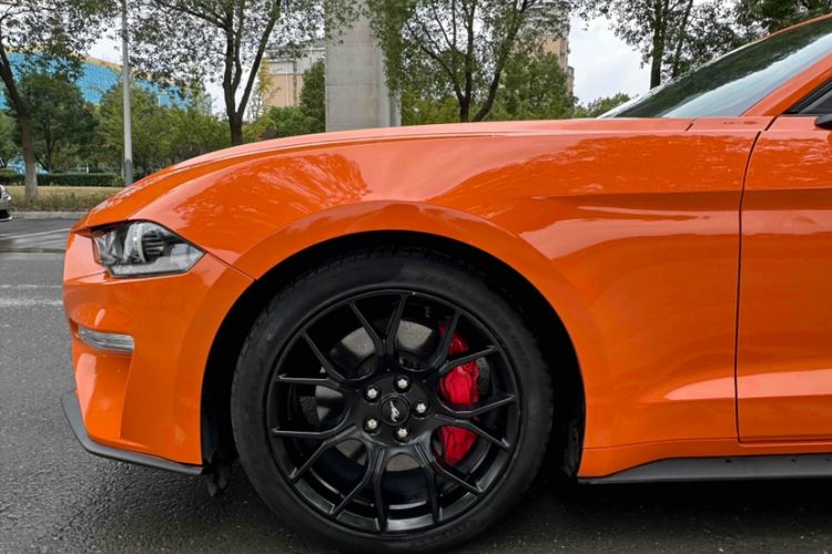Used Ford Mustang 2020 2.3L EcoBoost Exterior 5