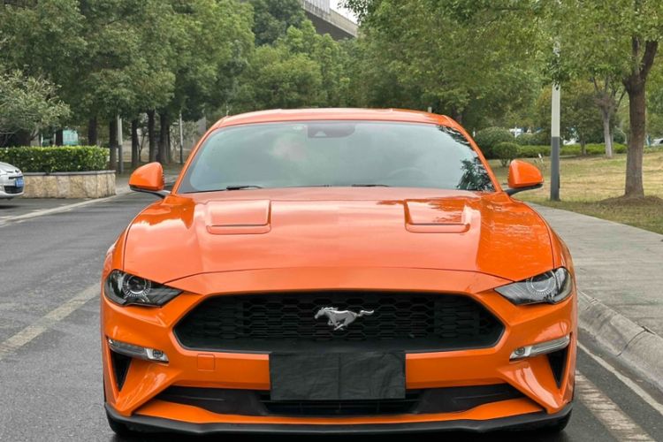 Used Ford Mustang 2020 2.3L EcoBoost Exterior 6