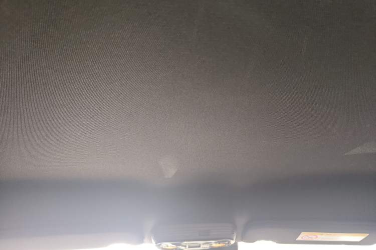 Used Ford Mustang 2020 2.3L EcoBoost Headliner