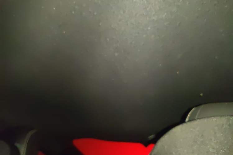 Used Ford Mustang 2020 2.3L EcoBoost Headliner
