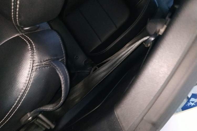 Used Ford Mustang 2020 2.3L EcoBoost Left Rear Door Interior