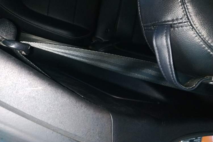 Used Ford Mustang 2020 2.3L EcoBoost Right Rear Door Interior
