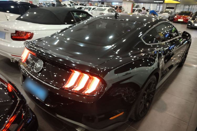 Used Ford Mustang 2021 2.3T EcoBoost Exterior 5