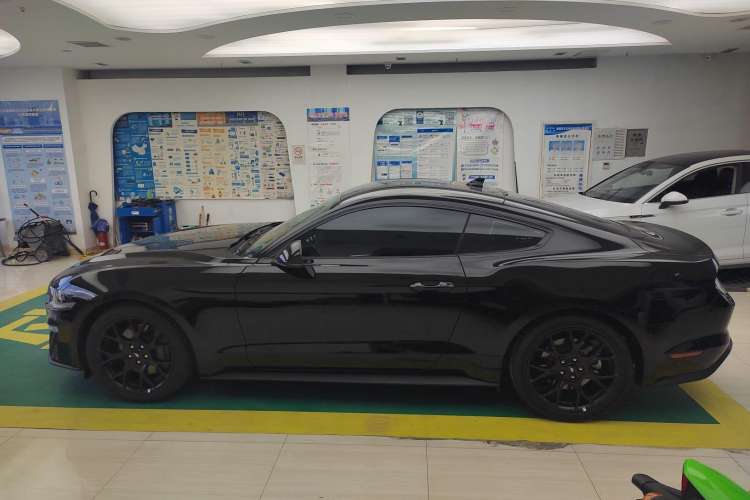 Used Ford Mustang 2021 2.3T EcoBoost Exterior 5