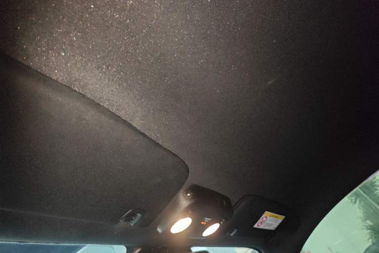 Used Ford Mustang 2021 2.3T EcoBoost Headliner