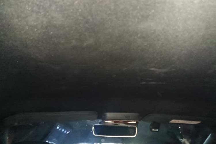 Used Ford Mustang 2021 2.3T EcoBoost Headliner