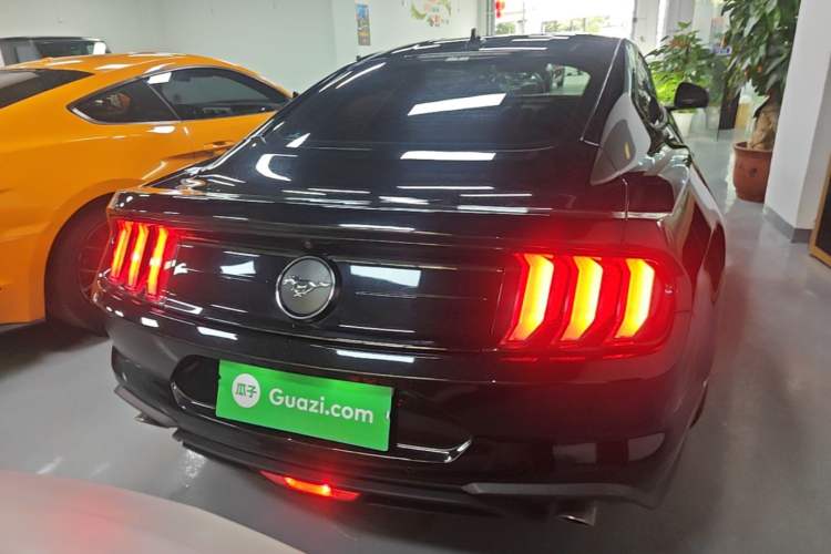 Used Ford Mustang 2021 2.3T EcoBoost Rear