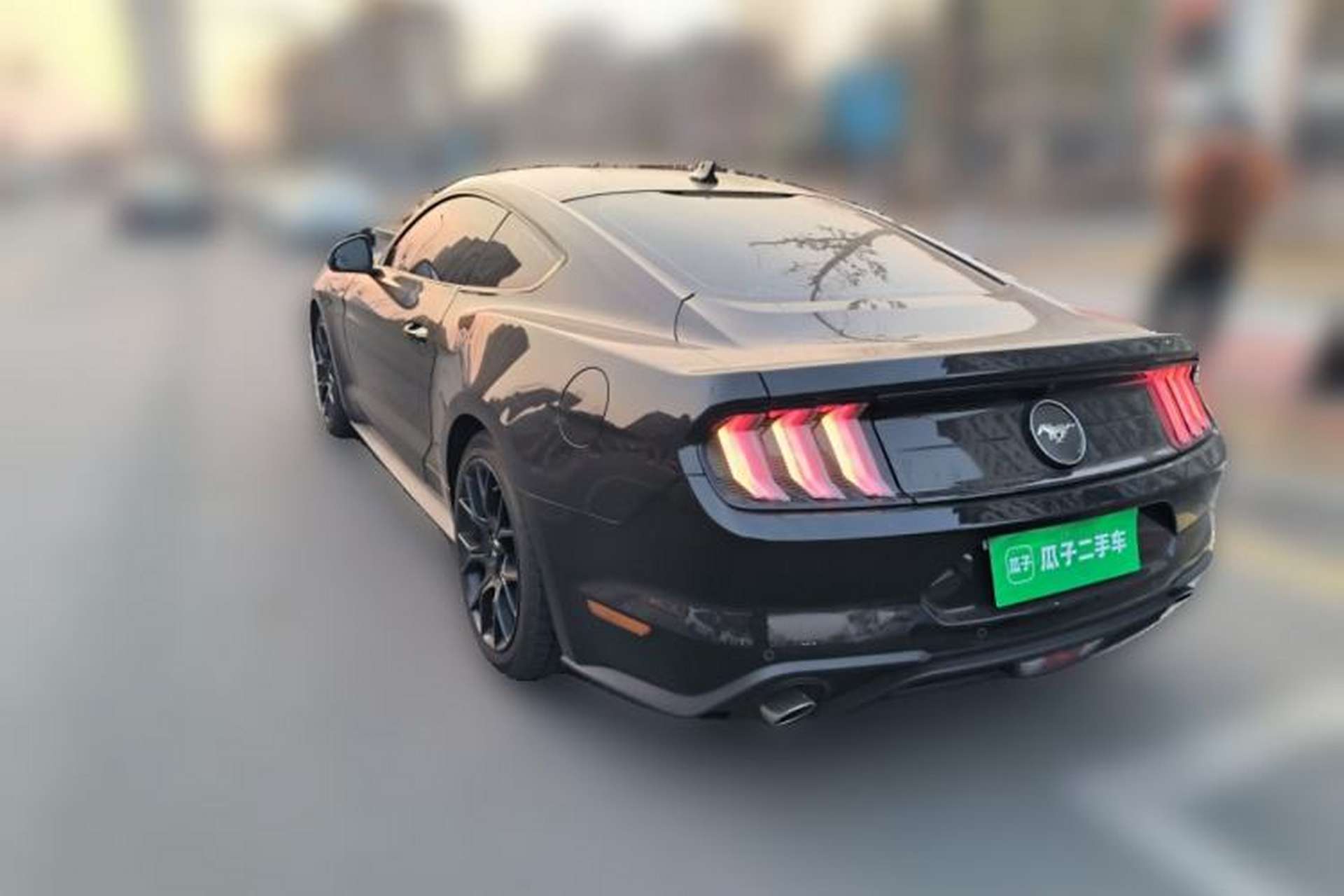 Used Ford Mustang 2021 2.3T EcoBoost Rear Left 45 Deg
