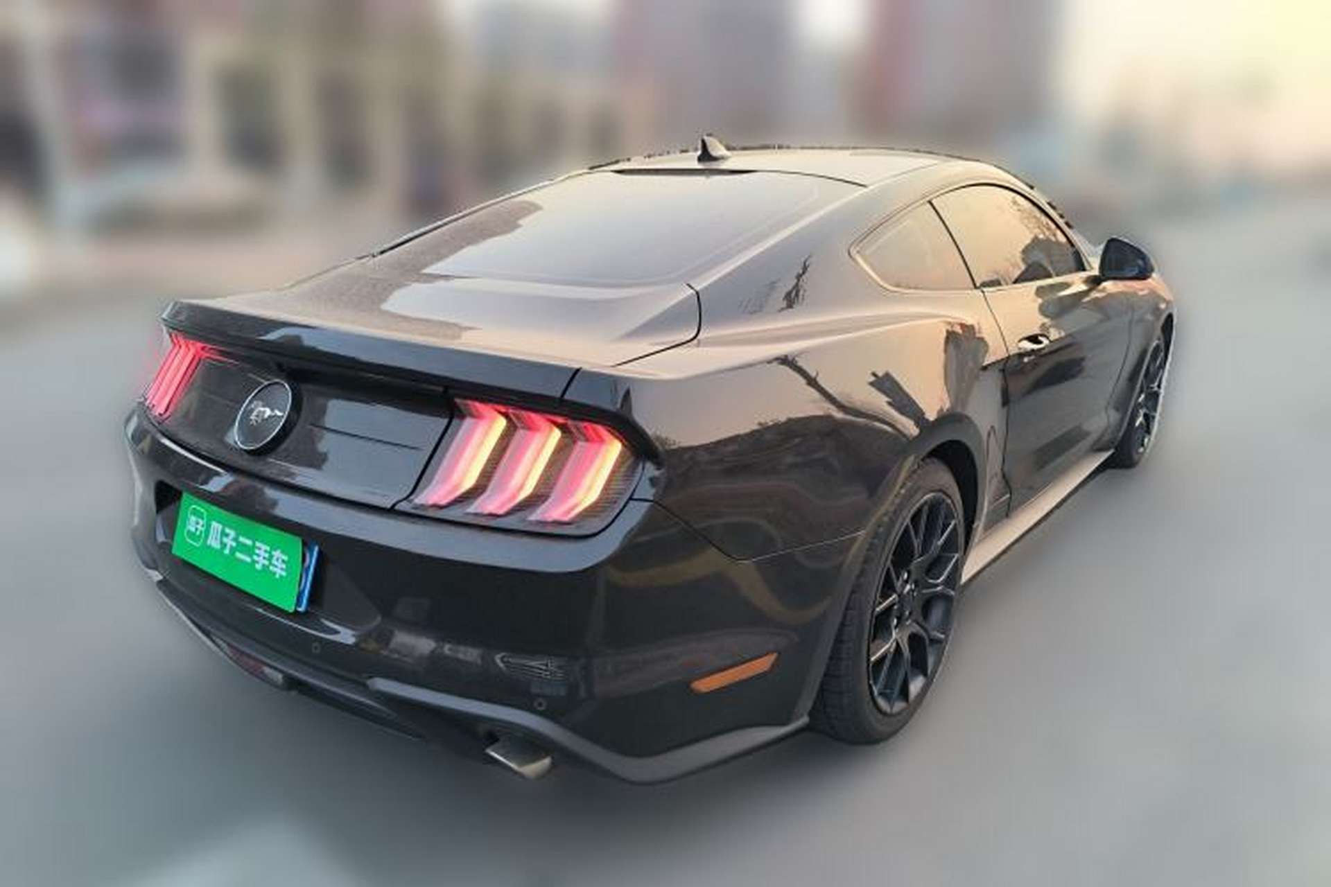 Used Ford Mustang 2021 2.3T EcoBoost Rear Right 45 Deg