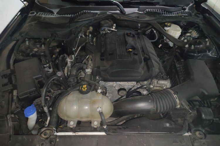 Used Ford Mustang 2021 2.3T EcoBoost Mustang Shelby Performance Enhanced Edition Engine Bay