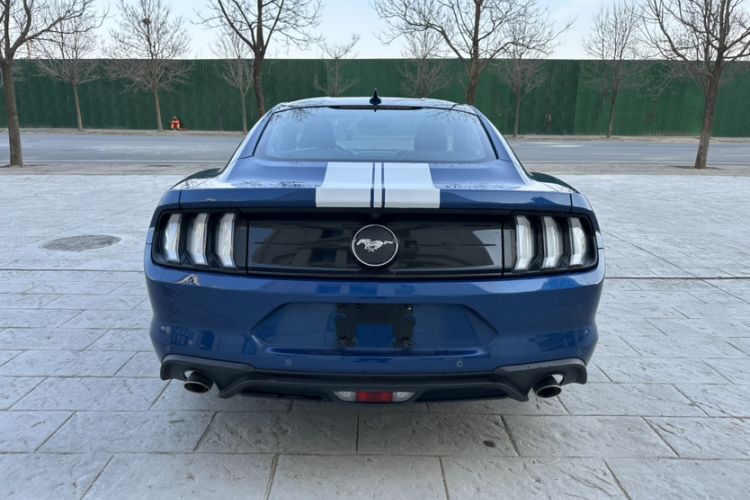 Used Ford Mustang 2021 2.3T EcoBoost Exterior 2