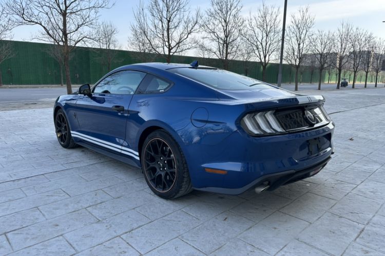 Used Ford Mustang 2021 2.3T EcoBoost Exterior 4
