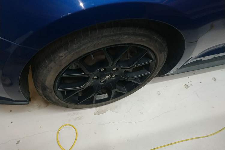 Used Ford Mustang 2021 2.3T EcoBoost Exterior 7