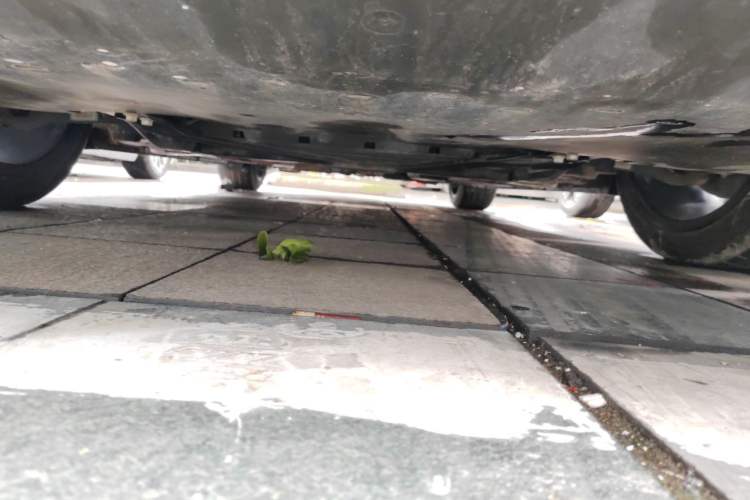 Used Ford Mustang 2021 2.3T EcoBoost Chassis Front