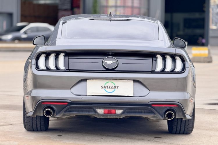 Used Ford Mustang 2021 2.3T EcoBoost Exterior 5